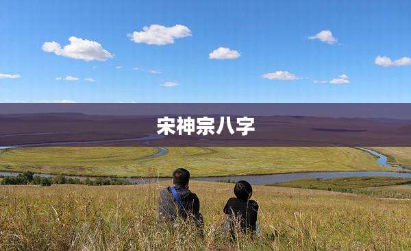 宋神宗八字