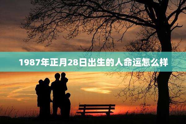 1987年正月28日出生的人命运怎么样
