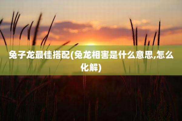 兔子龙最佳搭配(兔龙相害是什么意思,怎么化解)