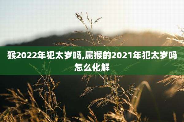 猴2022年犯太岁吗,属猴的2021年犯太岁吗怎么化解