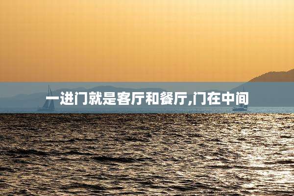 一进门就是客厅和餐厅,门在中间