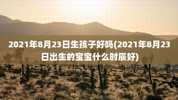 2021年8月23日生孩子好吗(2021年8月23日出生的宝宝什么时辰好)