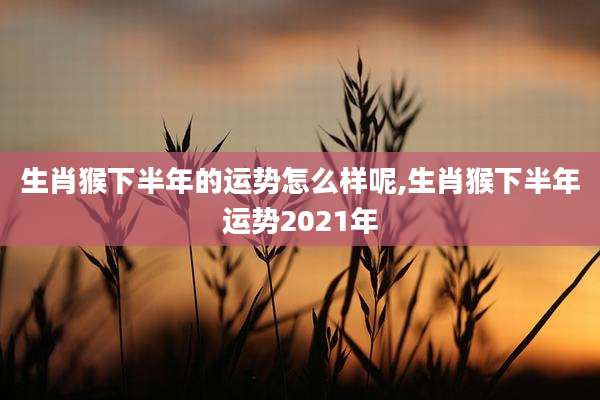 生肖猴下半年的运势怎么样呢,生肖猴下半年运势2021年