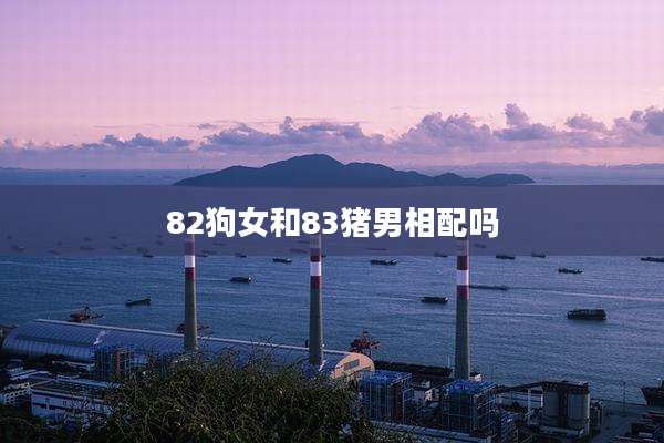 82狗女和83猪男相配吗