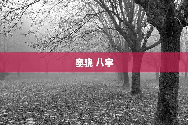 窦骁 八字