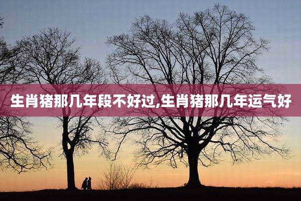 生肖猪那几年段不好过,生肖猪那几年运气好