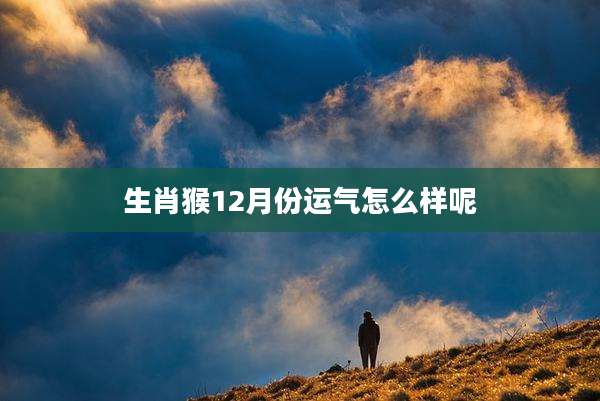 生肖猴12月份运气怎么样呢