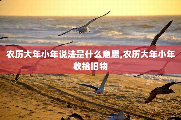 农历大年小年说法是什么意思,农历大年小年收拾旧物
