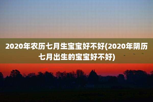 2020年农历七月生宝宝好不好(2020年阴历七月出生的宝宝好不好)