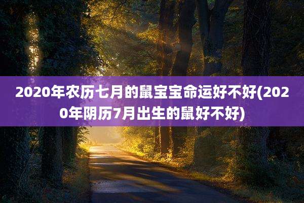 2020年农历七月的鼠宝宝命运好不好(2020年阴历7月出生的鼠好不好)