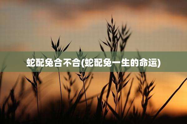 蛇配兔合不合(蛇配兔一生的命运)