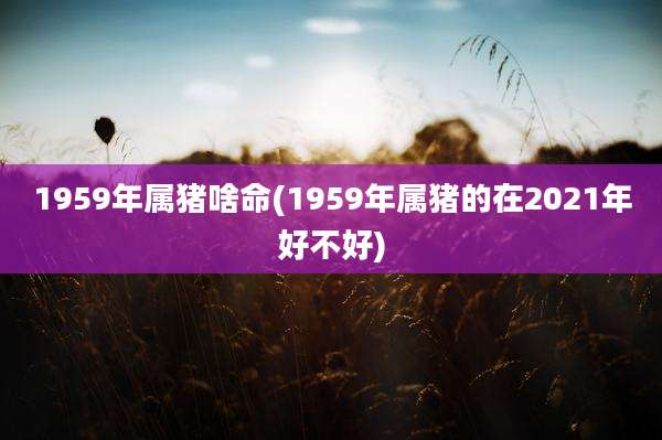 1959年属猪啥命(1959年属猪的在2021年好不好)
