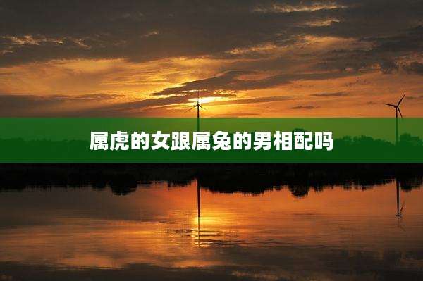 属虎的女跟属兔的男相配吗