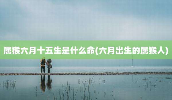属猴六月十五生是什么命(六月出生的属猴人)
