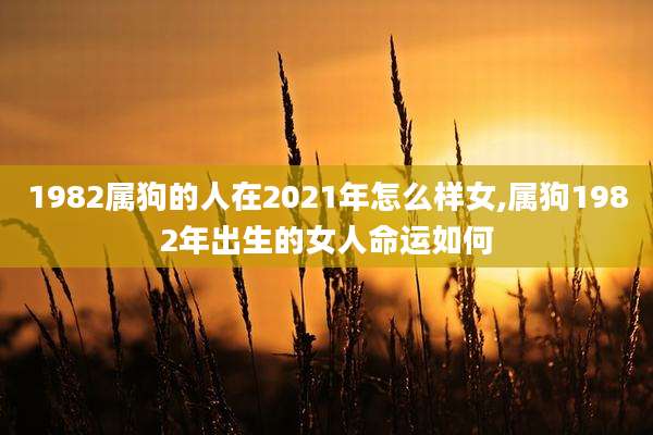 1982属狗的人在2021年怎么样女,属狗1982年出生的女人命运如何