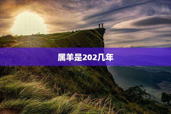 属羊是202几年