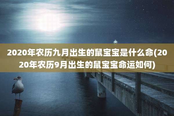 2020年农历九月出生的鼠宝宝是什么命(2020年农历9月出生的鼠宝宝命运如何)