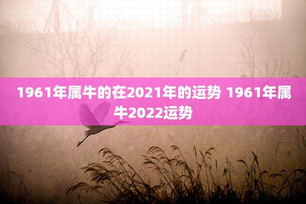 1961年属牛的在2021年的运势 1961年属牛2022运势