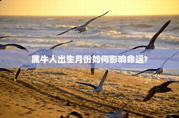 属牛人出生月份如何影响命运?