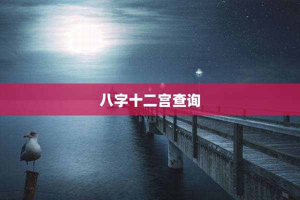 八字十二宫查询