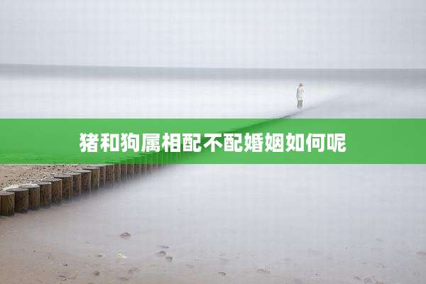 猪和狗属相配不配婚姻如何呢