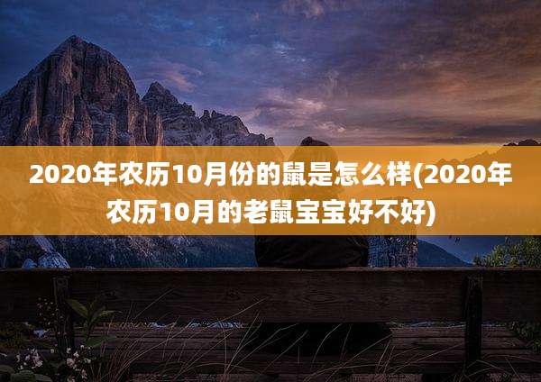 2020年农历10月份的鼠是怎么样(2020年农历10月的老鼠宝宝好不好)
