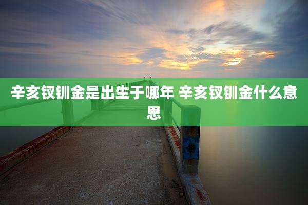 辛亥钗钏金是出生于哪年 辛亥钗钏金什么意思