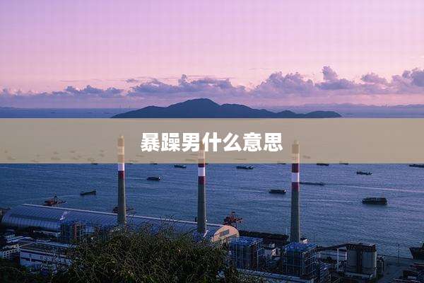 暴躁男什么意思