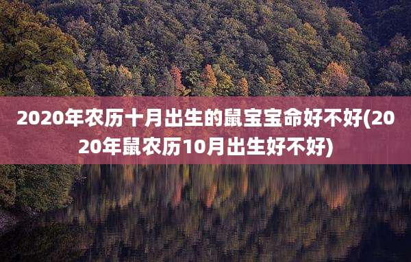 2020年农历十月出生的鼠宝宝命好不好(2020年鼠农历10月出生好不好)