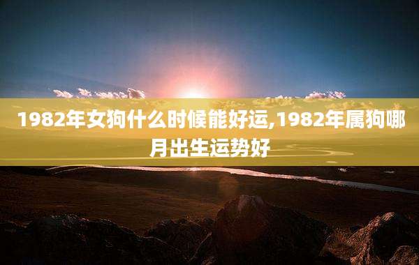 1982年女狗什么时候能好运,1982年属狗哪月出生运势好