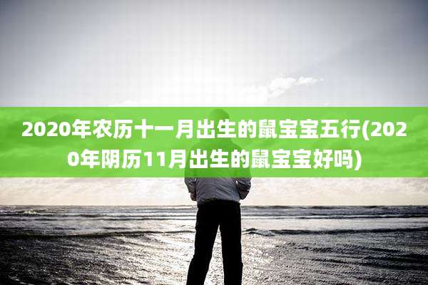 2020年农历十一月出生的鼠宝宝五行(2020年阴历11月出生的鼠宝宝好吗)
