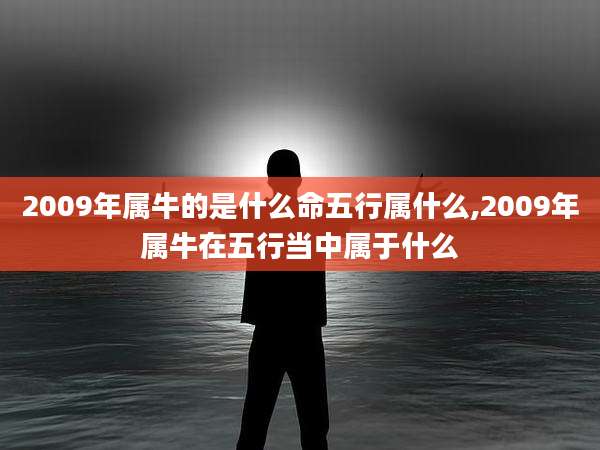 2009年属牛的是什么命五行属什么,2009年属牛在五行当中属于什么