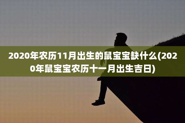 2020年农历11月出生的鼠宝宝缺什么(2020年鼠宝宝农历十一月出生吉日)