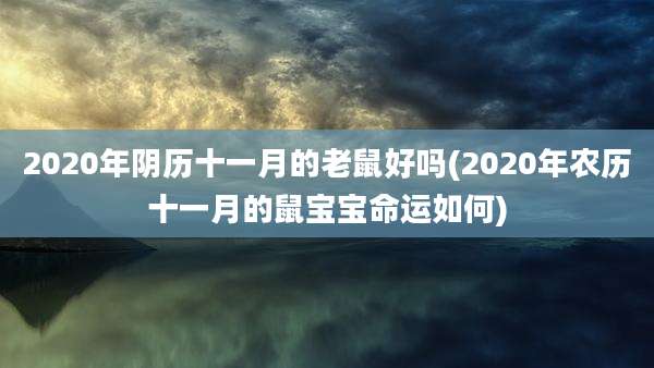 2020年阴历十一月的老鼠好吗(2020年农历十一月的鼠宝宝命运如何)