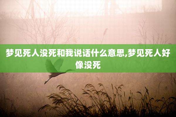 梦见死人没死和我说话什么意思,梦见死人好像没死