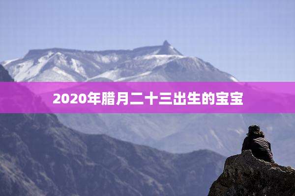 2020年腊月二十三出生的宝宝