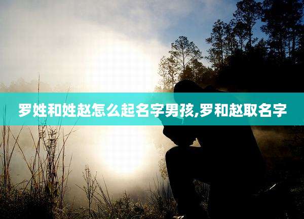 罗姓和姓赵怎么起名字男孩,罗和赵取名字