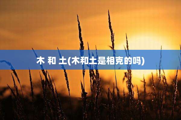 木 和 土(木和土是相克的吗)