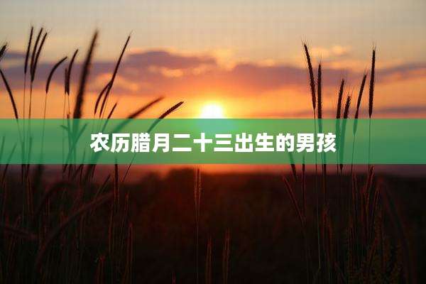 农历腊月二十三出生的男孩