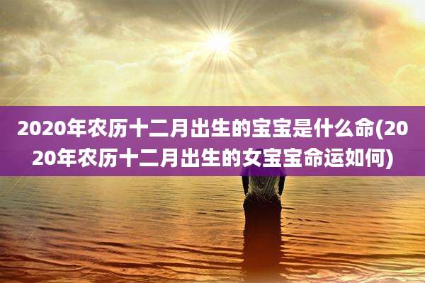 2020年农历十二月出生的宝宝是什么命(2020年农历十二月出生的女宝宝命运如何)