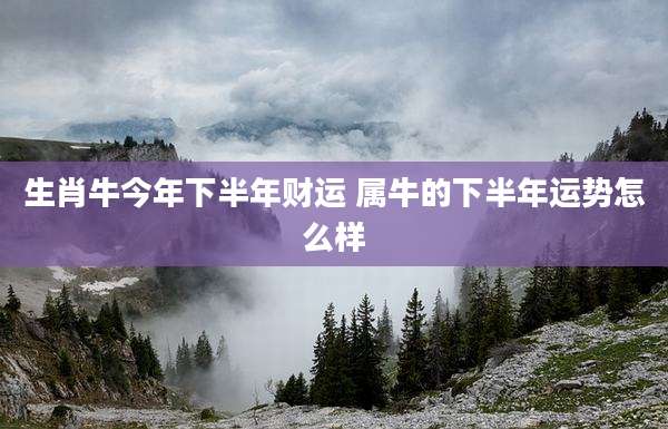 生肖牛今年下半年财运 属牛的下半年运势怎么样