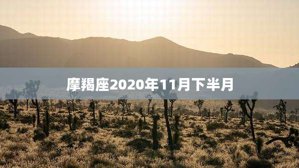摩羯座2020年11月下半月