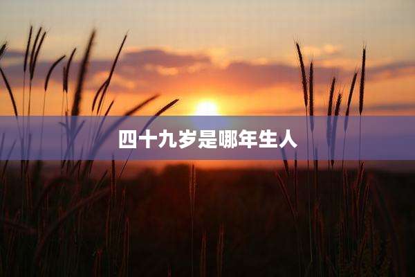 四十九岁是哪年生人