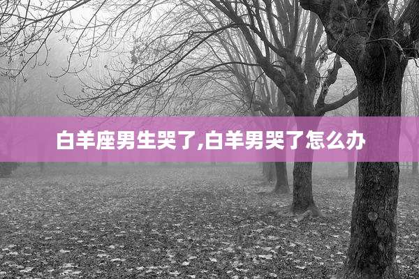 白羊座男生哭了,白羊男哭了怎么办