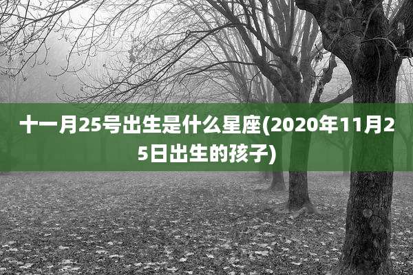 十一月25号出生是什么星座(2020年11月25日出生的孩子)