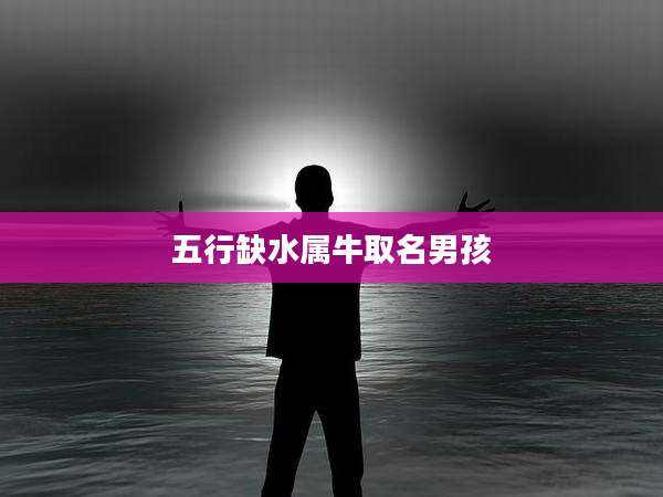 五行缺水属牛取名男孩