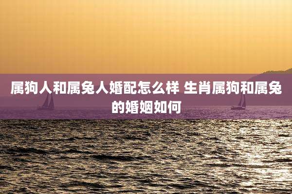 属狗人和属兔人婚配怎么样 生肖属狗和属兔的婚姻如何