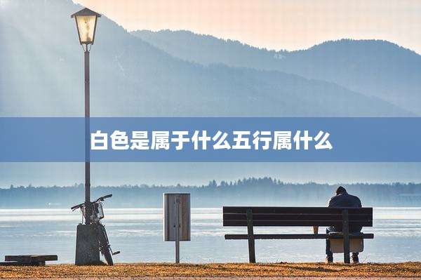白色是属于什么五行属什么