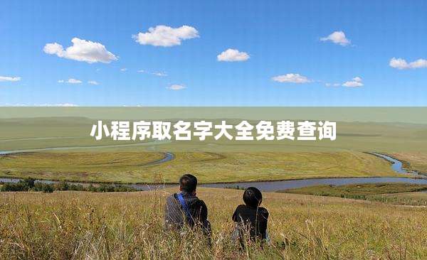 小程序取名字大全免费查询