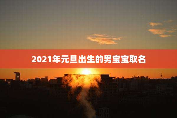 2021年元旦出生的男宝宝取名